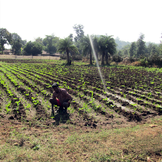 Water Resource Management