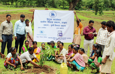 Rural Development